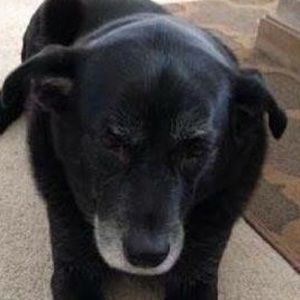 Meet your Posher, Traci